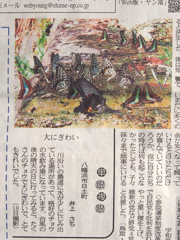 f:id:sattisatisatti:20150727214437j:image:w640 f:id:sattisatisatti:20150727214437j:image:w640