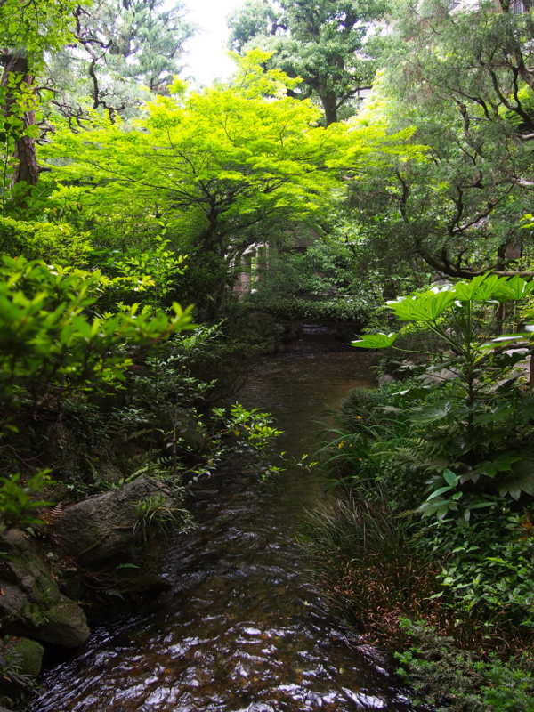 f:id:sattisatisatti:20170517223456j:image:w640