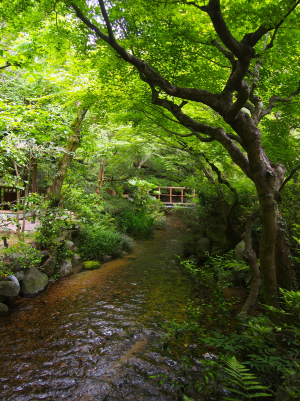 f:id:sattisatisatti:20170517223502j:image:w640