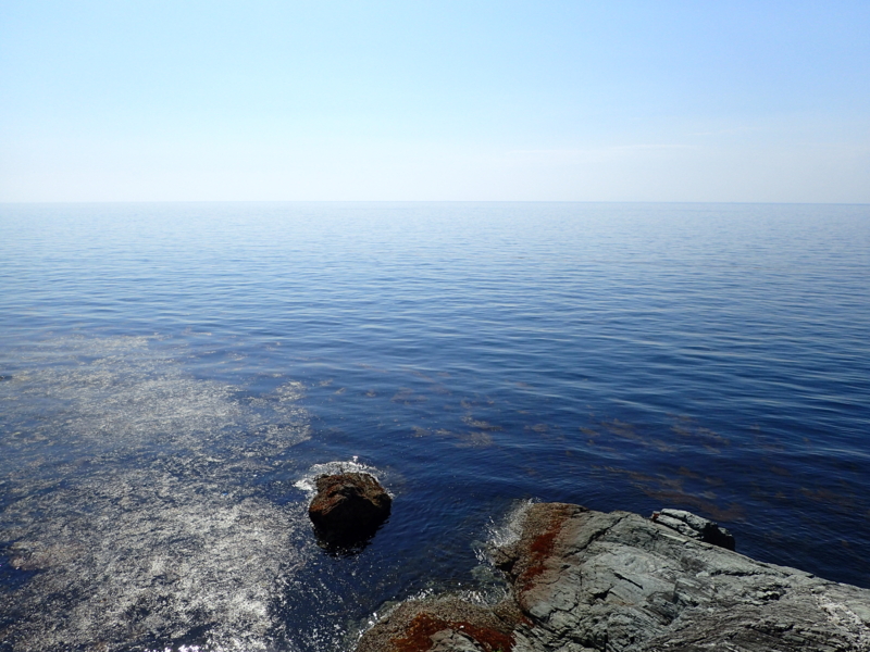 f:id:sattisatisatti:20170517223505j:image:w640