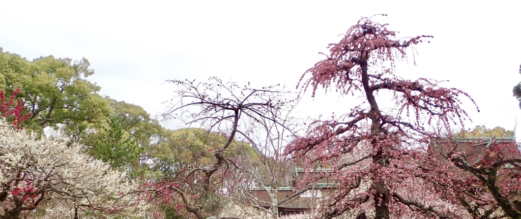 f:id:sattisatisatti:20180316205120j:plain f:id:sattisatisatti:20180316205120j:plain