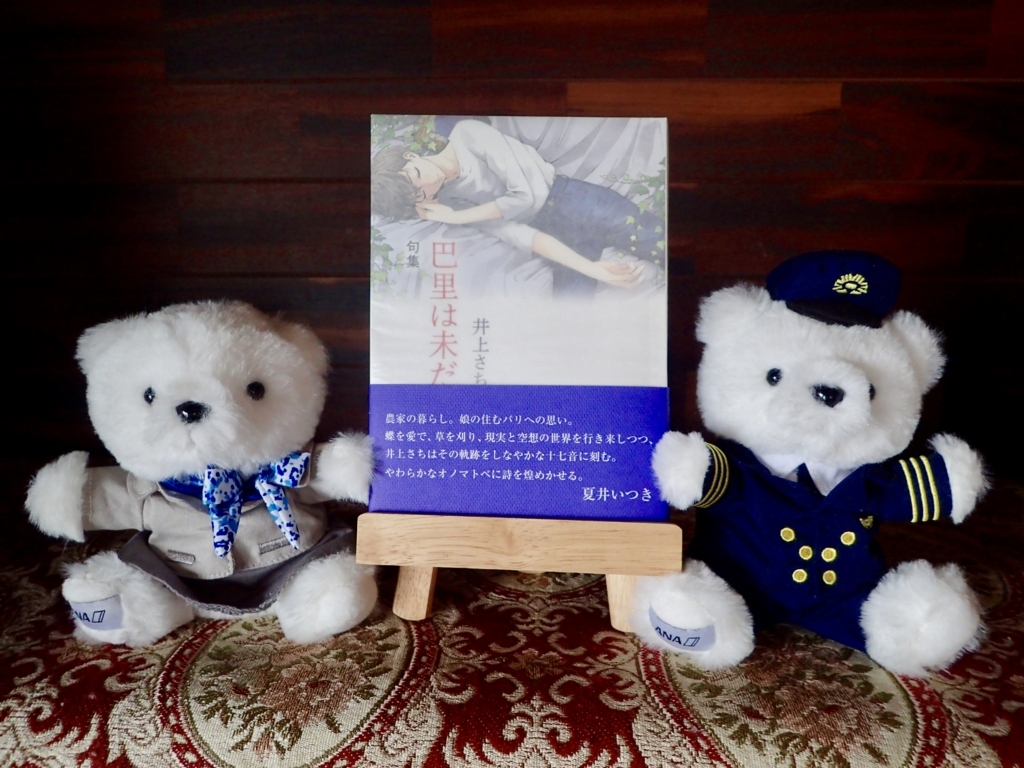 f:id:sattisatisatti:20180425194553j:plain f:id:sattisatisatti:20180425194553j:plain