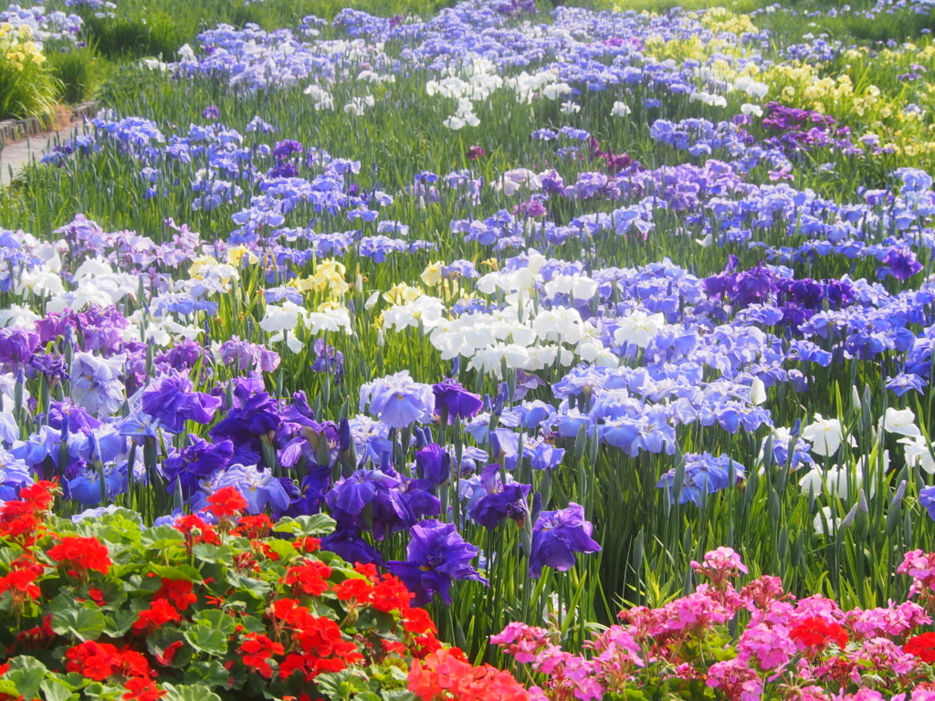f:id:sattisatisatti:20180531173545j:plain f:id:sattisatisatti:20180531173545j:plain