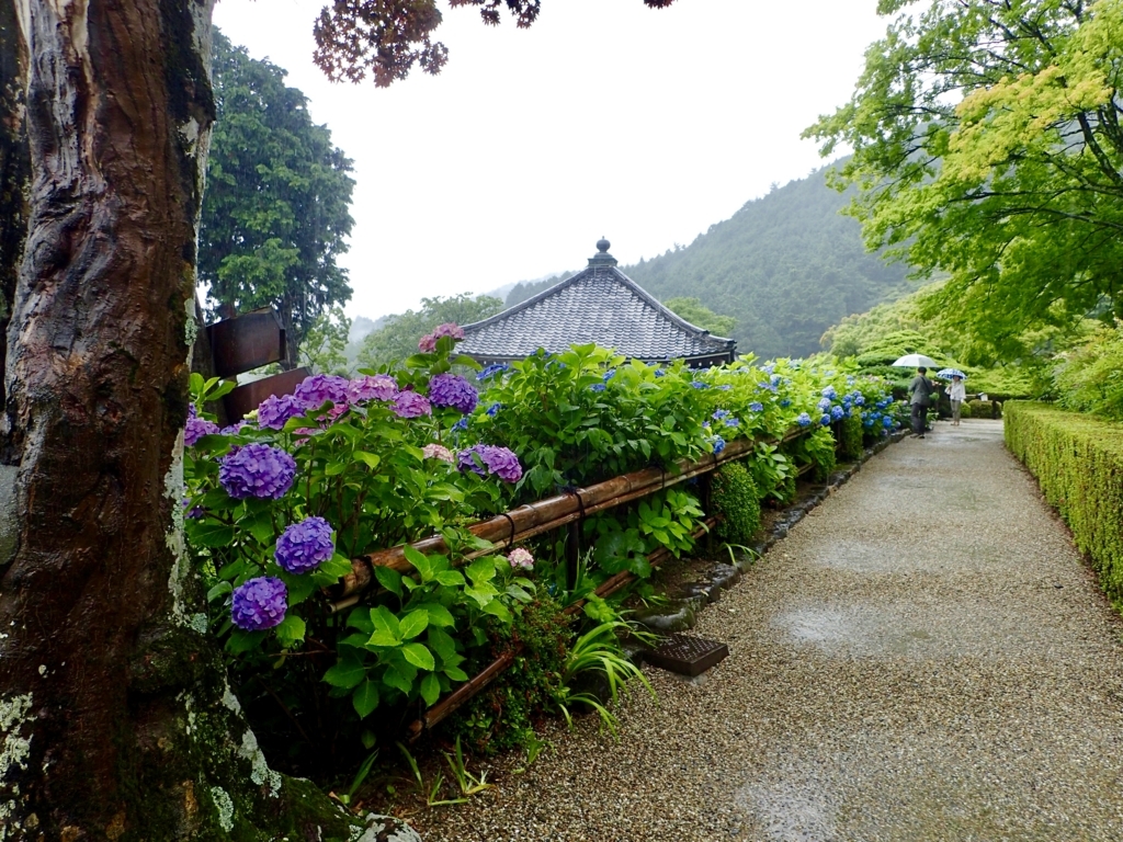 f:id:sattisatisatti:20180626205534j:plain f:id:sattisatisatti:20180626205534j:plain