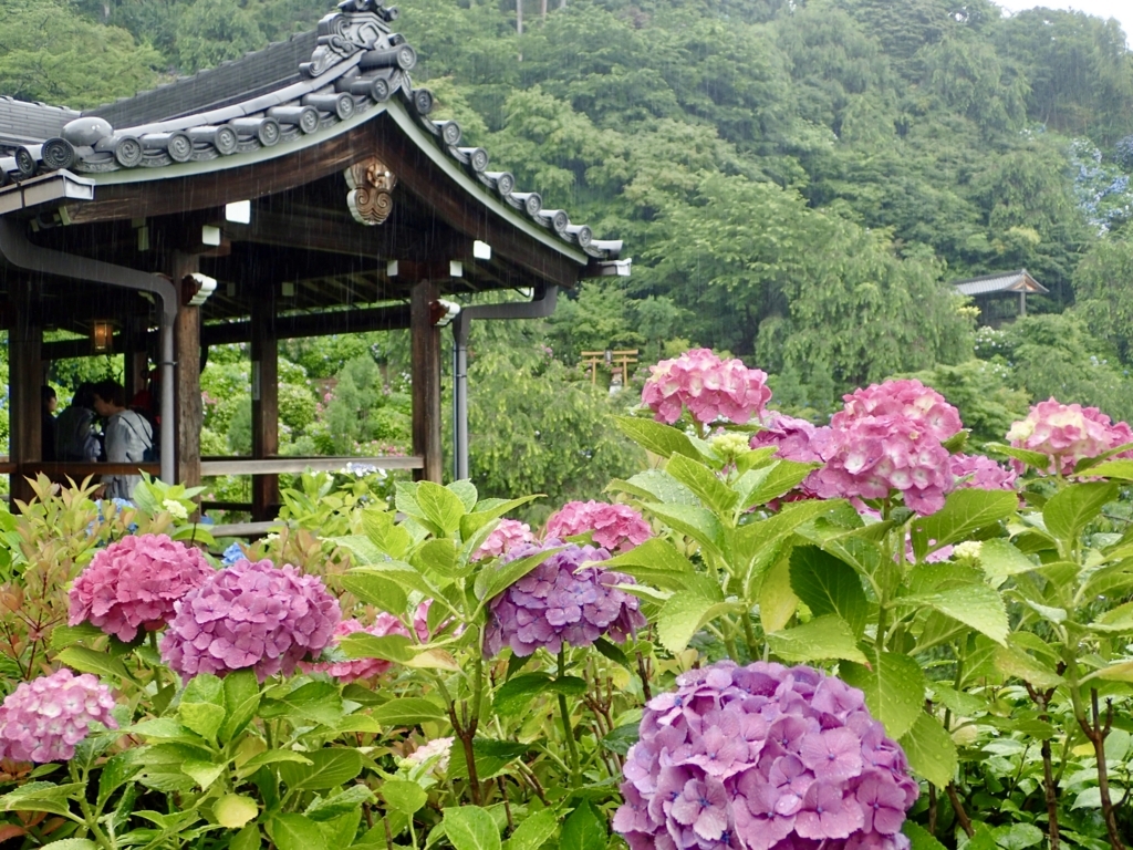 f:id:sattisatisatti:20180626205555j:plain f:id:sattisatisatti:20180626205555j:plain