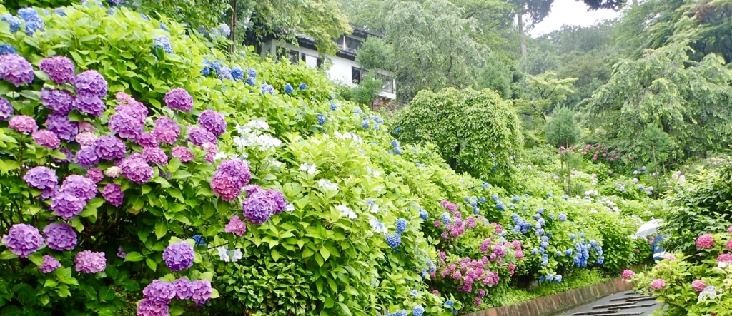 f:id:sattisatisatti:20180626205754j:plain f:id:sattisatisatti:20180626205754j:plain