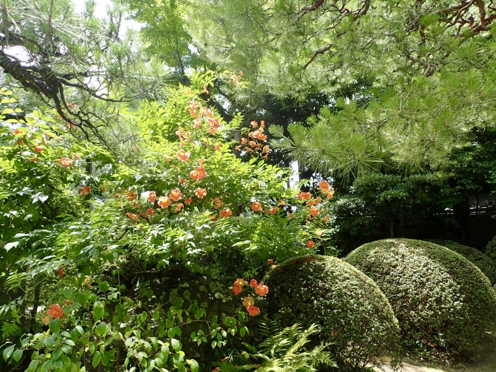 f:id:sattisatisatti:20180629211145j:plain f:id:sattisatisatti:20180629211145j:plain