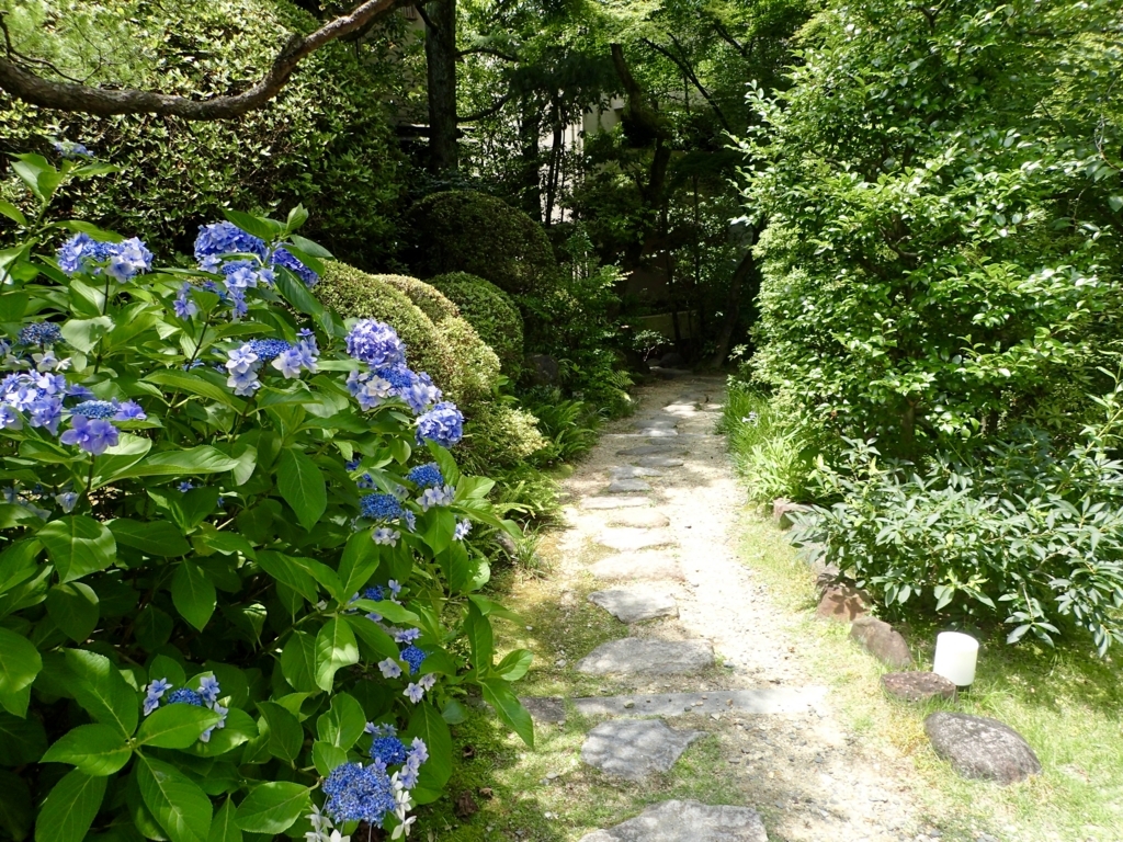 f:id:sattisatisatti:20180629211213j:plain f:id:sattisatisatti:20180629211213j:plain