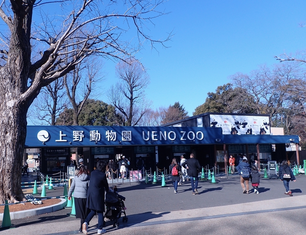 f:id:sattisatisatti:20190204233127j:plain f:id:sattisatisatti:20190204233127j:plain