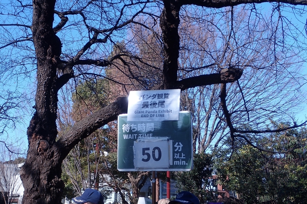 f:id:sattisatisatti:20190204233213j:plain f:id:sattisatisatti:20190204233213j:plain