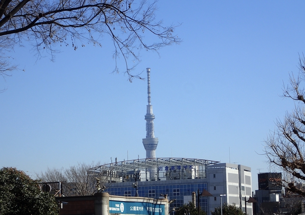 f:id:sattisatisatti:20190205001008j:plain f:id:sattisatisatti:20190205001008j:plain