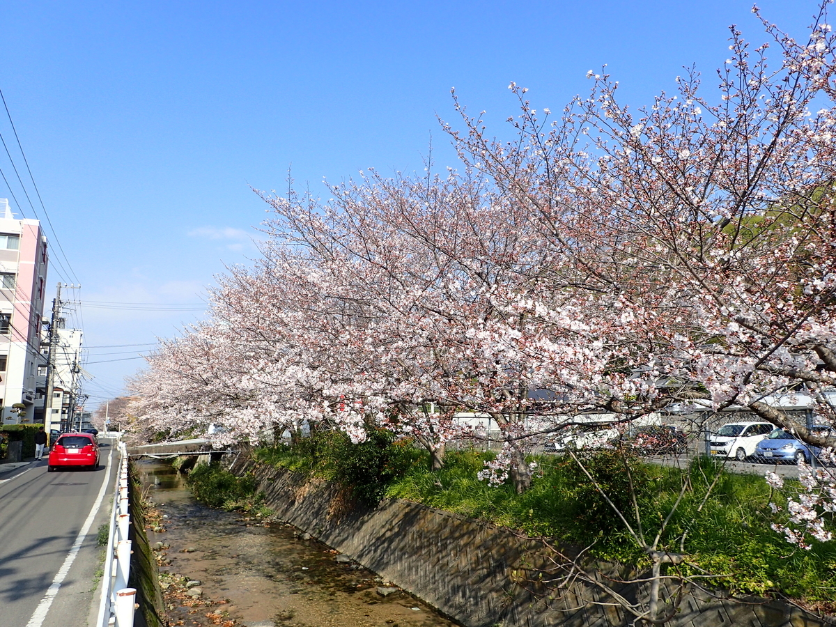f:id:sattisatisatti:20190410191136j:plain f:id:sattisatisatti:20190410191136j:plain