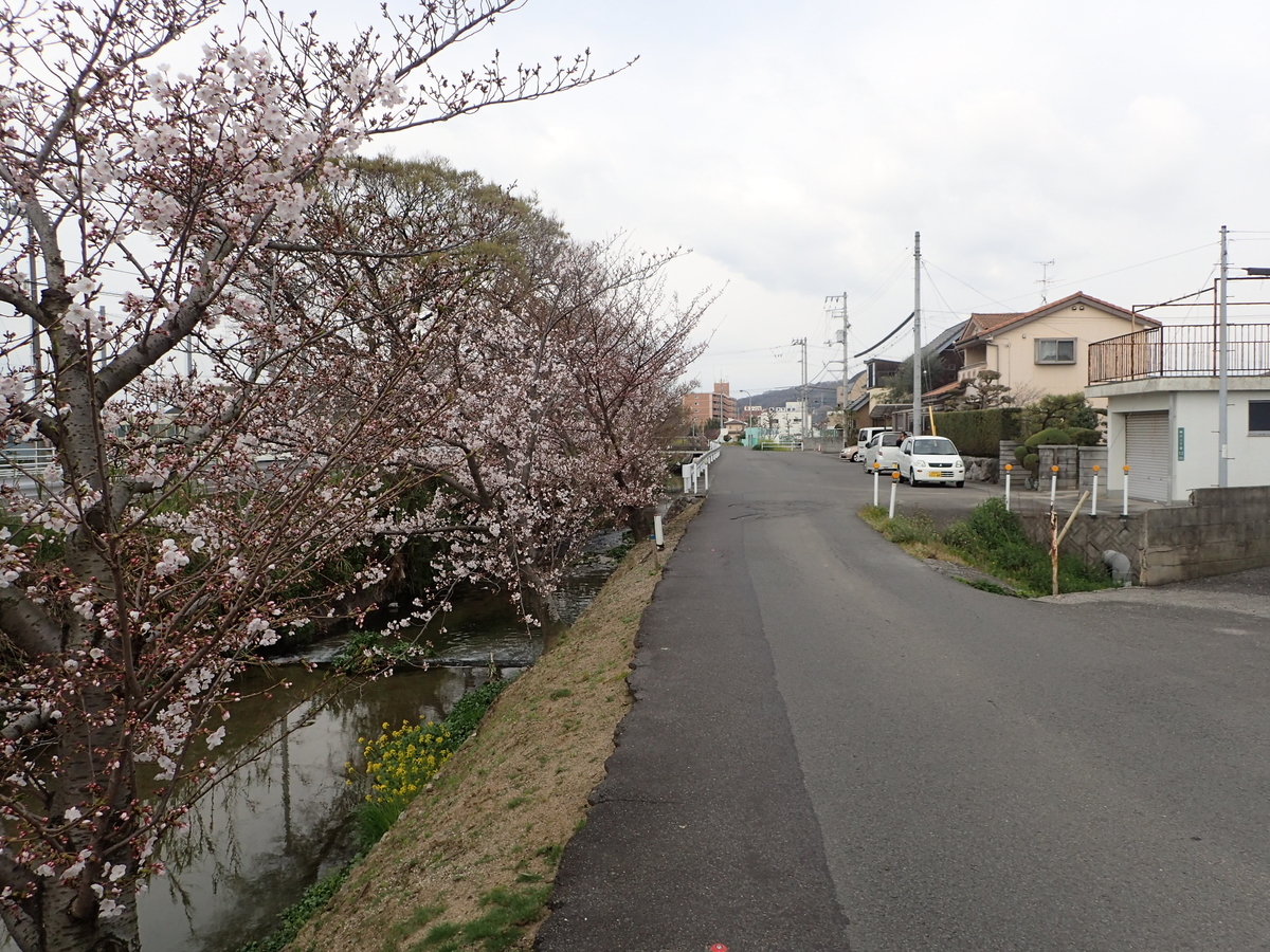f:id:sattisatisatti:20190410191759j:plain f:id:sattisatisatti:20190410191759j:plain