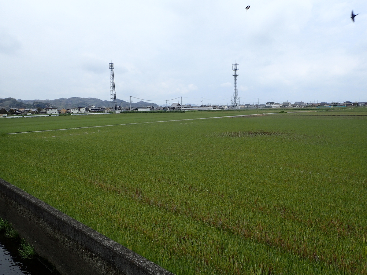 f:id:sattisatisatti:20190410191946j:plain f:id:sattisatisatti:20190410191946j:plain