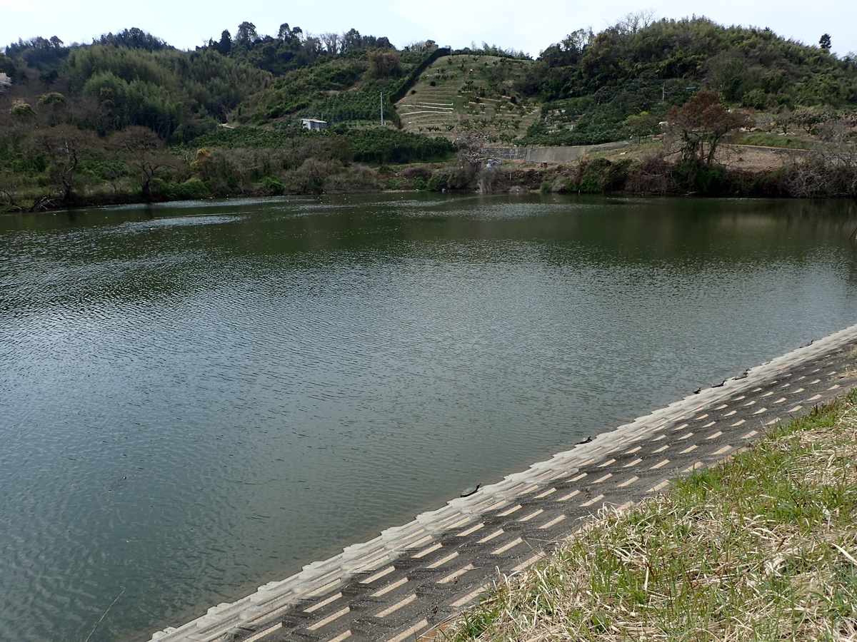 f:id:sattisatisatti:20190410192131j:plain f:id:sattisatisatti:20190410192131j:plain