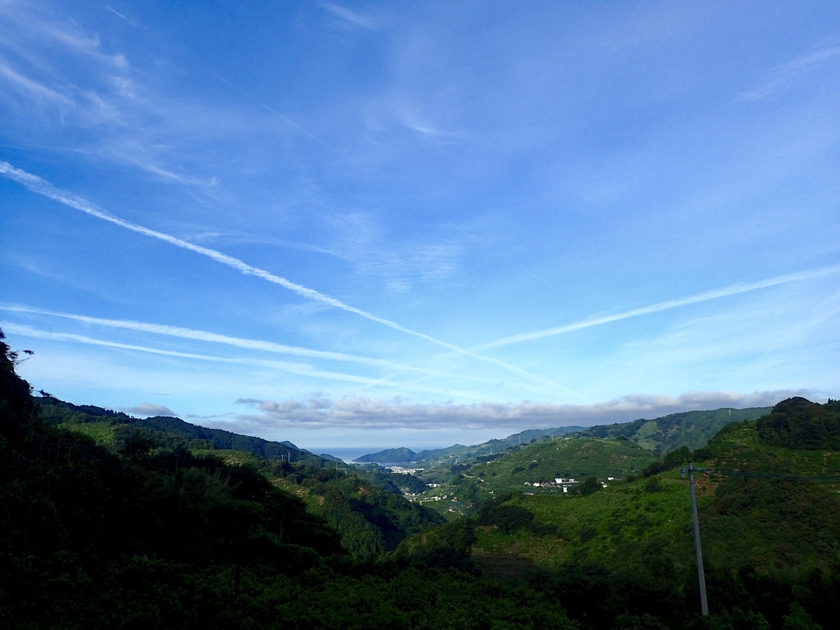 f:id:sattisatisatti:20190804032825j:plain f:id:sattisatisatti:20190804032825j:plain