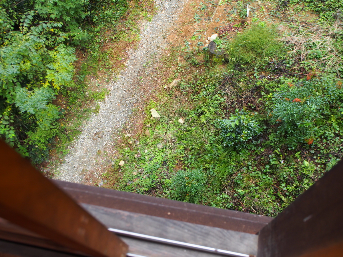 f:id:sattisatisatti:20191025204622j:plain f:id:sattisatisatti:20191025204622j:plain