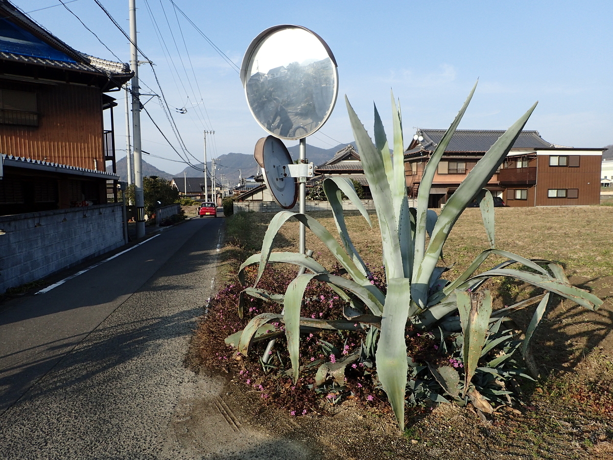 f:id:sattisatisatti:20191229162557j:plain f:id:sattisatisatti:20191229162557j:plain