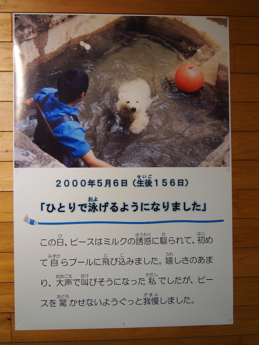 f:id:sattisatisatti:20200109221257j:plain