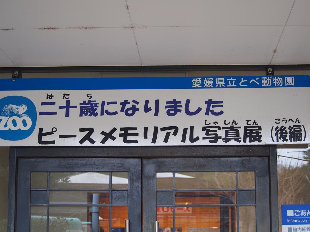 f:id:sattisatisatti:20200109221403j:plain
