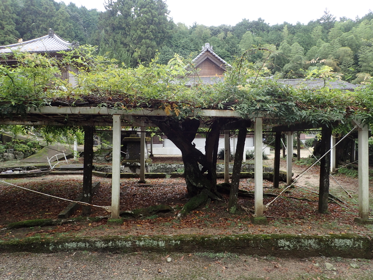 f:id:sattisatisatti:20201017091854j:plain f:id:sattisatisatti:20201017091854j:plain