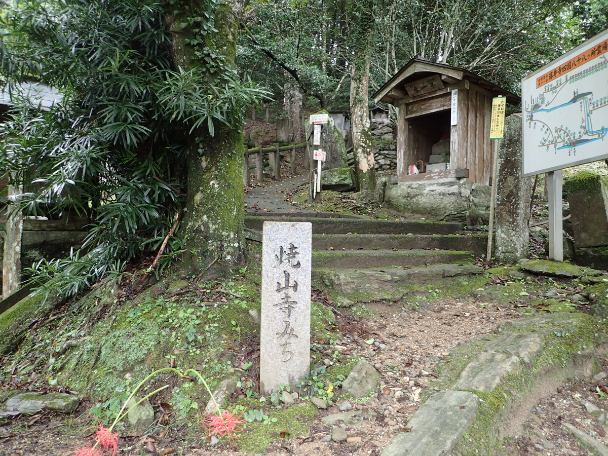 f:id:sattisatisatti:20201017091946j:plain f:id:sattisatisatti:20201017091946j:plain