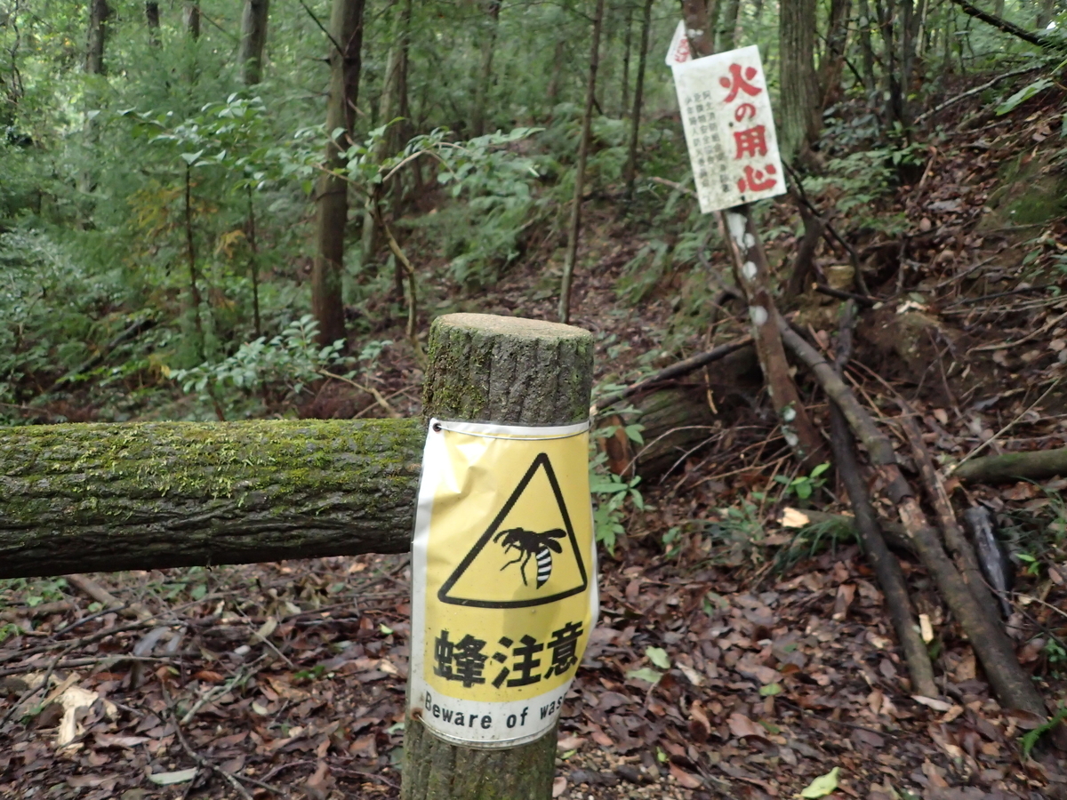 f:id:sattisatisatti:20201017092000j:plain f:id:sattisatisatti:20201017092000j:plain