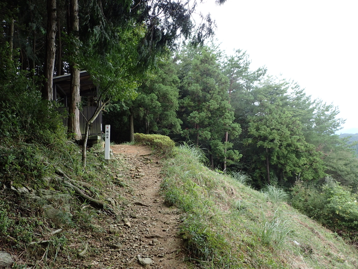 f:id:sattisatisatti:20201017092251j:plain f:id:sattisatisatti:20201017092251j:plain