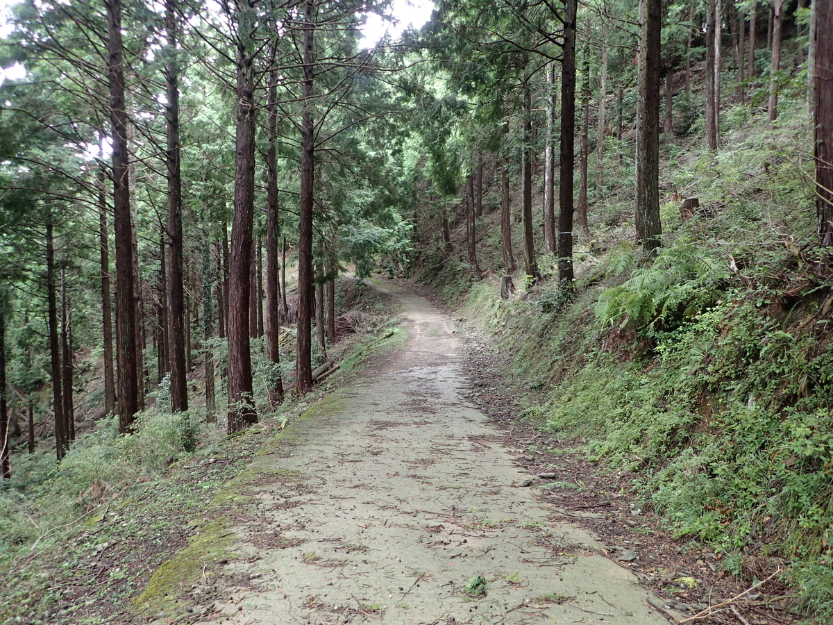 f:id:sattisatisatti:20201017092357j:plain f:id:sattisatisatti:20201017092357j:plain