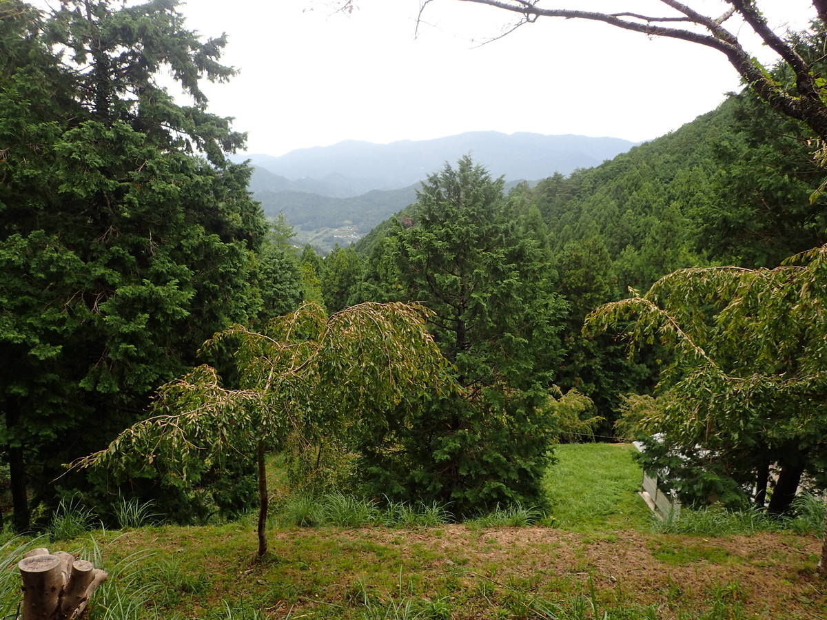 f:id:sattisatisatti:20201017092515j:plain f:id:sattisatisatti:20201017092515j:plain