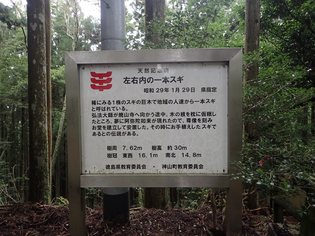 f:id:sattisatisatti:20201017092732j:plain f:id:sattisatisatti:20201017092732j:plain