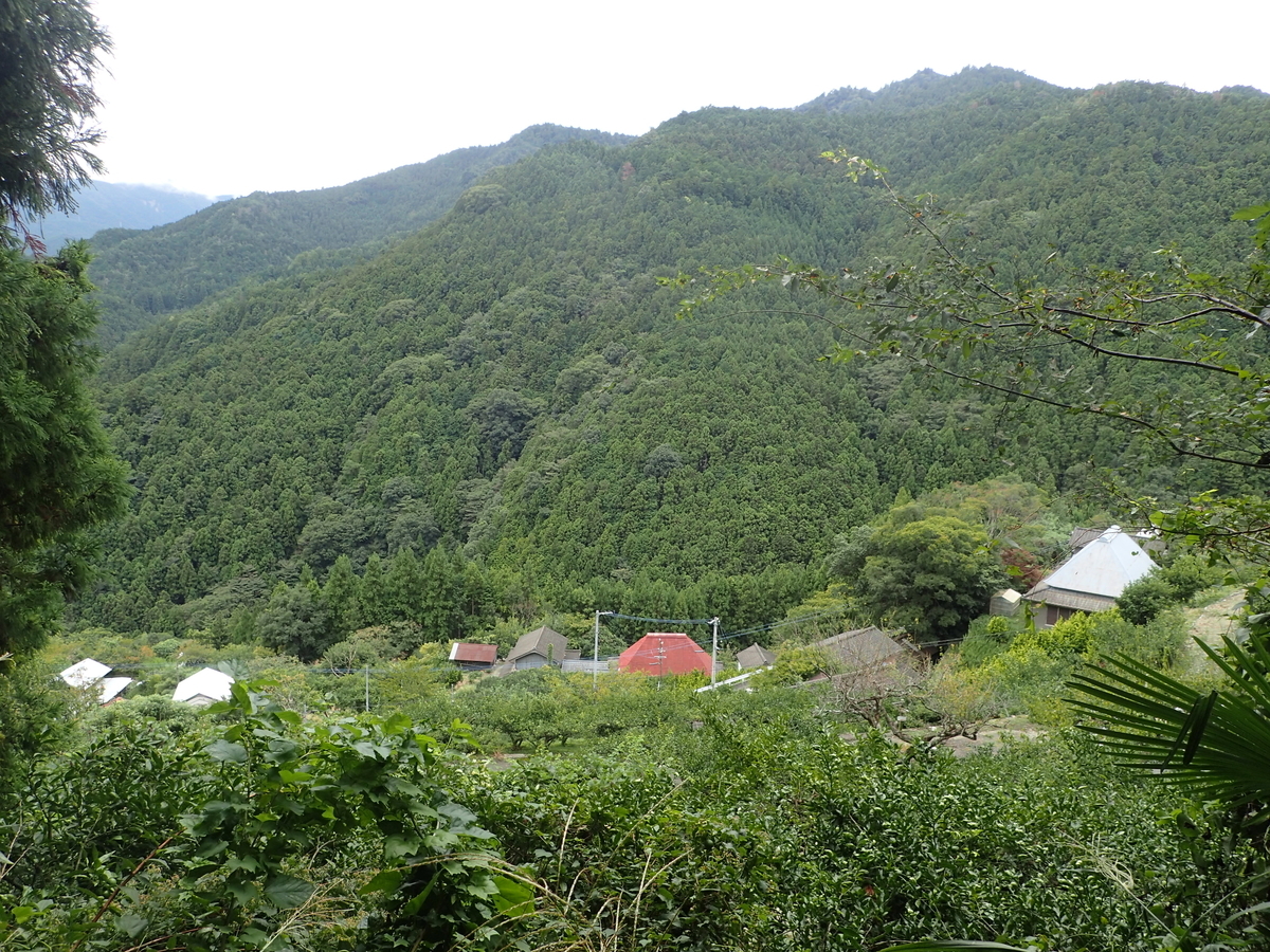 f:id:sattisatisatti:20201017092921j:plain f:id:sattisatisatti:20201017092921j:plain