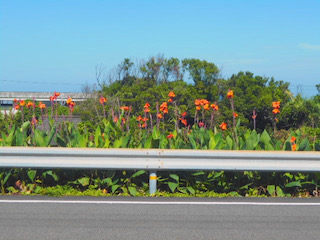 f:id:sattisatisatti:20210626092651j:plain