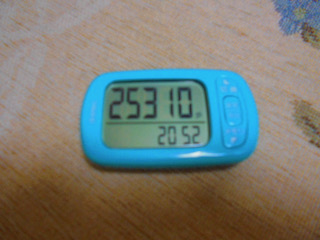 f:id:sattisatisatti:20210626093443j:plain