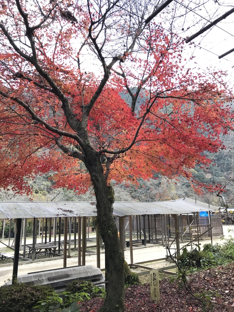f:id:satto1237:20181203152254j:plain