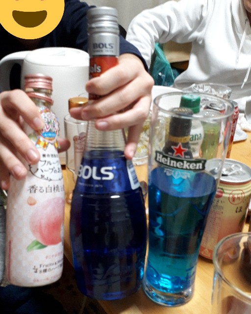 f:id:satukinomiya:20191228195759j:image