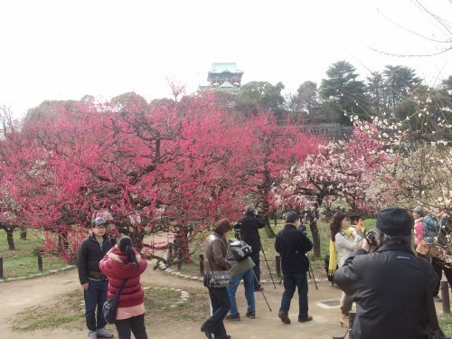 f:id:satyagraha08:20120327082223j:image:left f:id:satyagraha08:20120327082223j:image:left