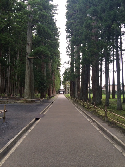 f:id:sauce3:20140827233532j:plain