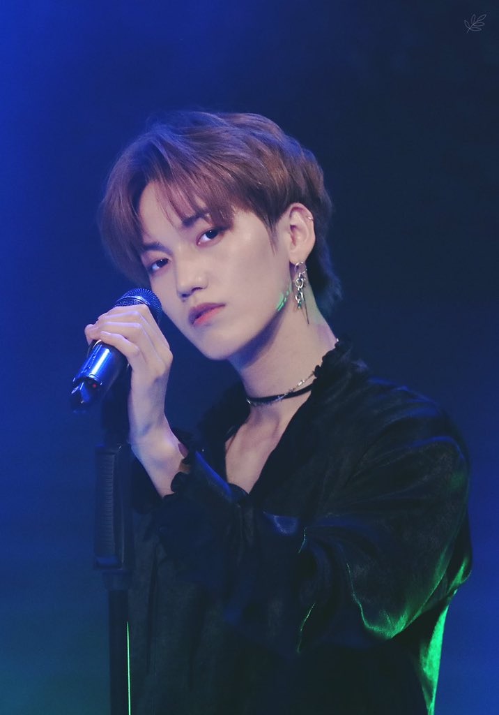 f:id:saugguast_D:20210227102701j:image