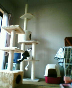 f:id:saul:20060716184234j:image f:id:saul:20060716184234j:image