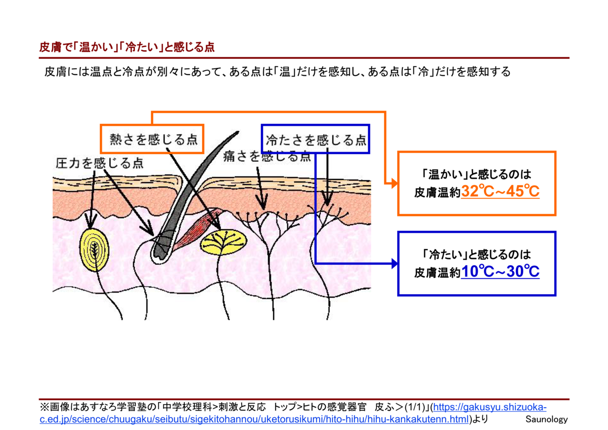 温度感覚仕組み – 感覚温度図表 – PPKMIA
