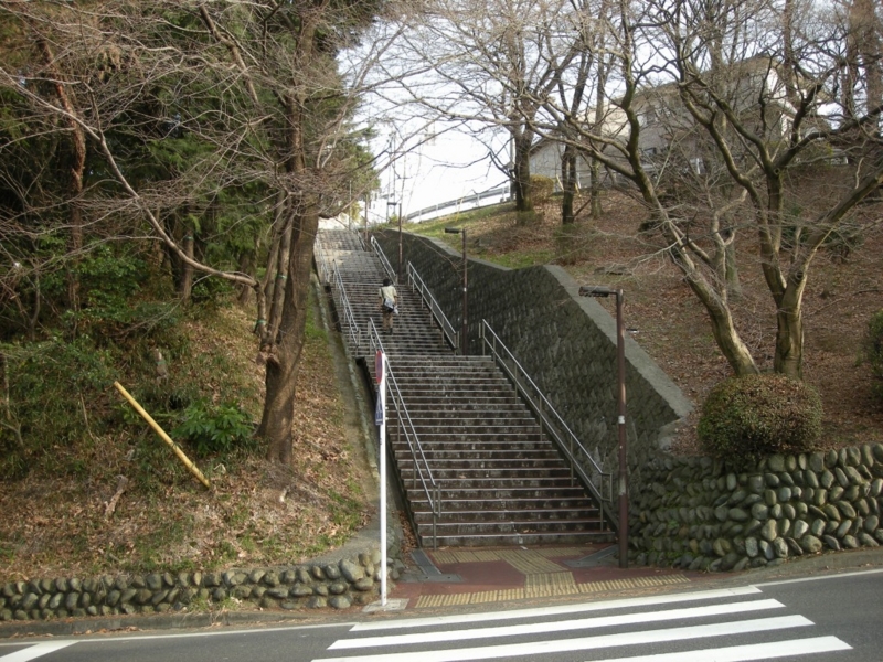 f:id:saurel:20100313232220j:image:w400