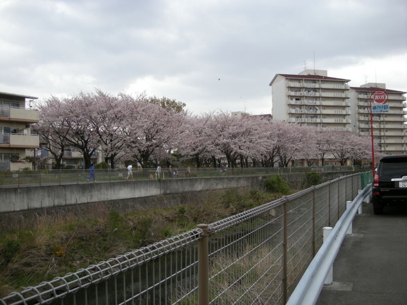 f:id:saurel:20100403113056j:image:w400 f:id:saurel:20100403113056j:image:w400