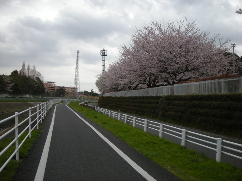 f:id:saurel:20100403115516j:image:w400 f:id:saurel:20100403115516j:image:w400