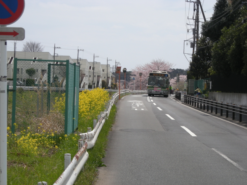 f:id:saurel:20100403120930j:image:w400 f:id:saurel:20100403120930j:image:w400