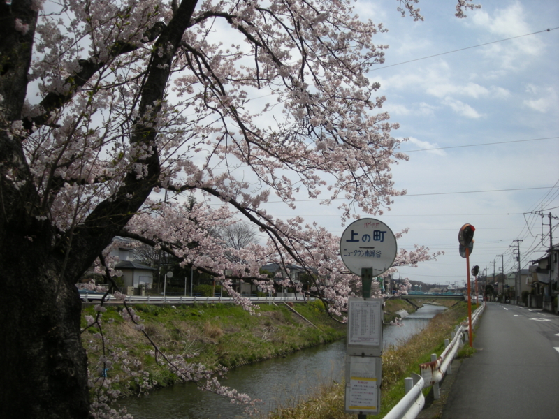 f:id:saurel:20100403121132j:image:w400 f:id:saurel:20100403121132j:image:w400