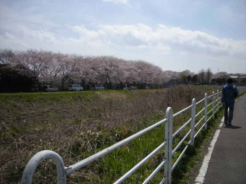 f:id:saurel:20100403123111j:image:w400 f:id:saurel:20100403123111j:image:w400