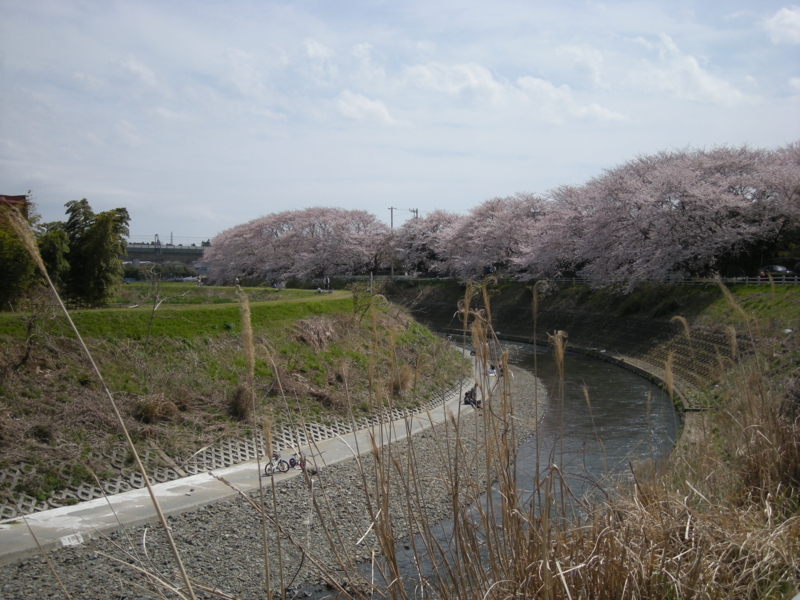f:id:saurel:20100403123225j:image:w400 f:id:saurel:20100403123225j:image:w400