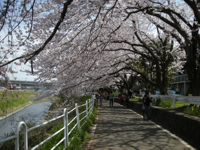 f:id:saurel:20100403123443j:image:w400 f:id:saurel:20100403123443j:image:w400