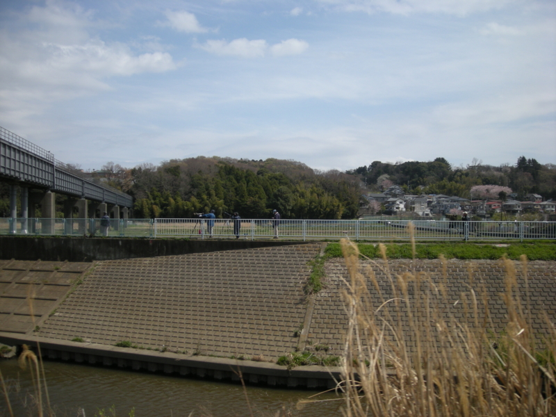 f:id:saurel:20100403125016j:image:w400 f:id:saurel:20100403125016j:image:w400